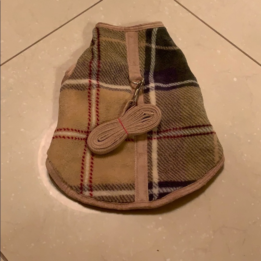 Hollywood hounds walking doge coat.